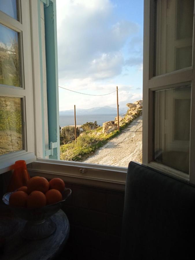 Anemones Sea View