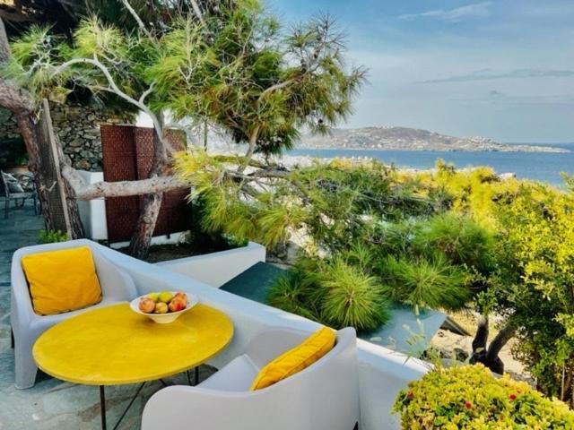 Anemones Sea View