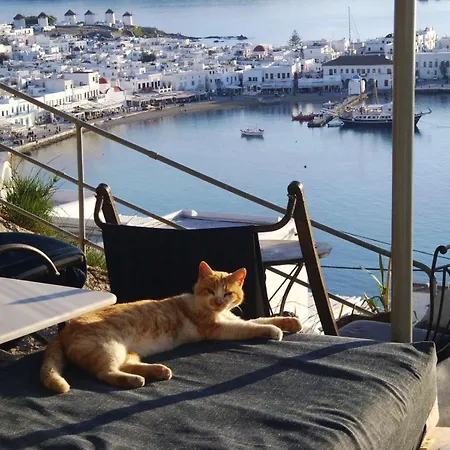 Anemones Sea View Apartment Mykonos Town Room photo